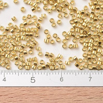 MIYUKI Delica Beads X-SEED-J020-DB0031-1