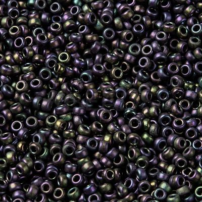 MIYUKI Round Rocailles Beads X-SEED-G009-RR2019-1