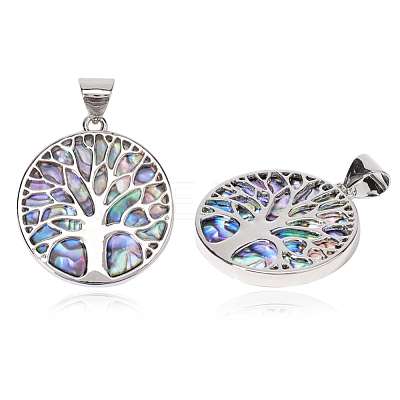 Resin Imitation Paua Shell/Abalone Shell Pendants RESI-S376-24-1