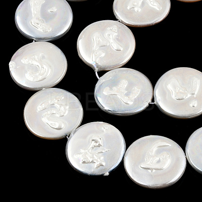 Plating Natural Freshwater Shell Beads Strands SHEL-N026-225A-1