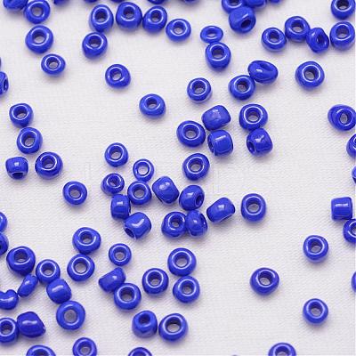 6/0 Glass Seed Beads SEED-J014-F6-48-1