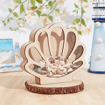 Shell Shaped Wooden Sea Shell Storage Display Cases with Visible Window ODIS-WH0080-04A-1