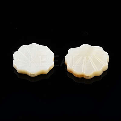 Natural Freshwater Shell Beads SHEL-T007-02-1