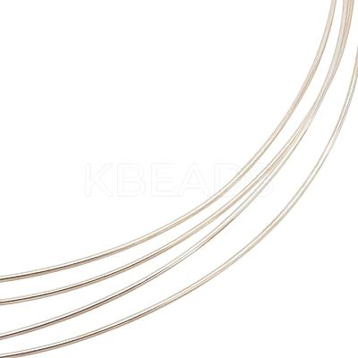 1Pc 999 Fine Silver Wire STER-BC0001-66B-1