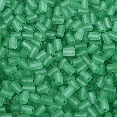 FGB Frosted Transparent Glass Seed Beads SEED-N013-05A-09-1