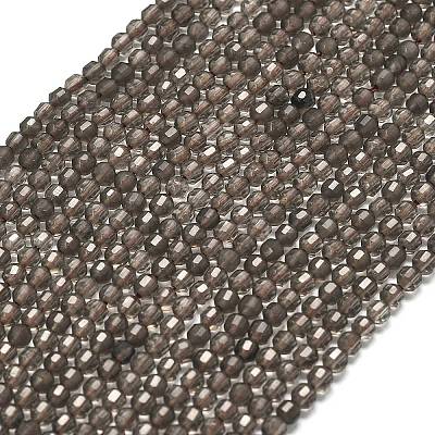 Natural Smoky Quartz Beads Strands G-A260-A53-01-1