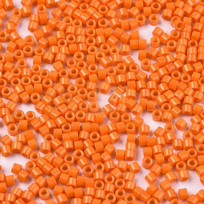 FGB 11/0 Grade A Glass Seed Beads SEED-S030-1019-1