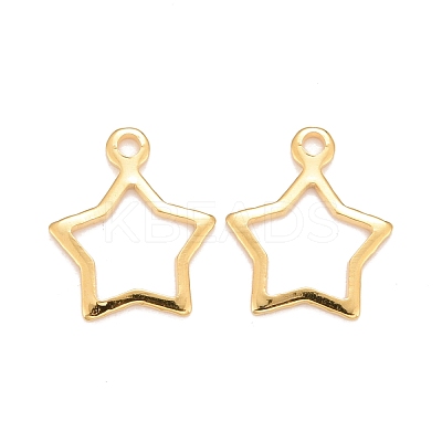 201 Stainless Steel Charms STAS-K217-05G-1