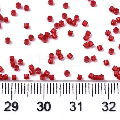 FGB 11/0 Grade A Glass Seed Beads X-SEED-S030-1016-1