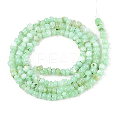 Natural Freshwater Shell Dyed Beads Strands SHEL-T020-29B-03-1