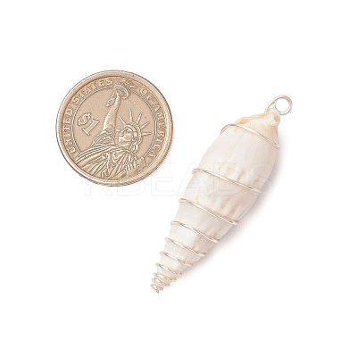 Copper Wire Wrapped Natural Spiral Shell Big Pendants PALLOY-JF03397-01-1