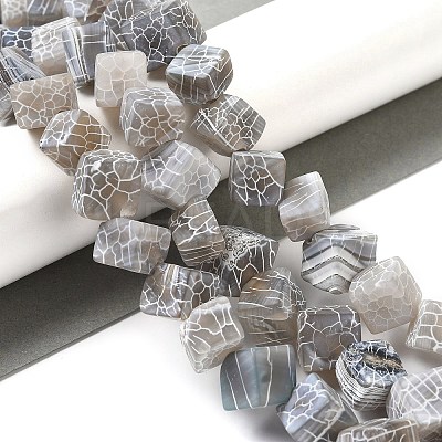 Natural Weathered Agate Beads Strands G-Q169-C04-01A-1