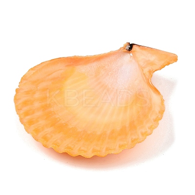 Undyed Natural Scallop Shell Big Pendants SHEL-T020-01-1
