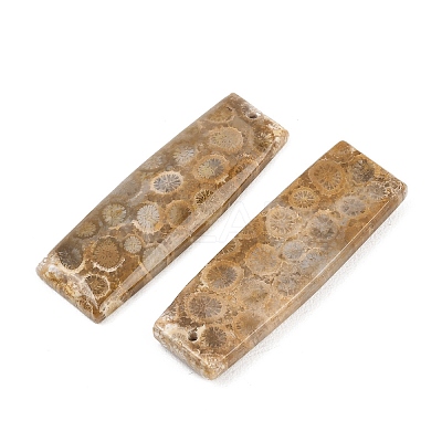 Natural Fossil Coral Pendants G-B187-01C-08-1