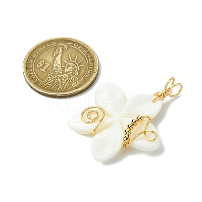 Natural Carved Freshwater Shell Pendants PALLOY-JF03392-1