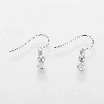 Grade A Silver Color Plated Iron Earring Hooks LS-X-EC135-S-NF-1