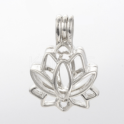 Alloy Locket Pendants X-PALLOY-S062-40P-1