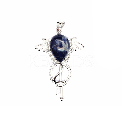 Natural Sodalite Teardrop Pendants PW-WG60016-05-1
