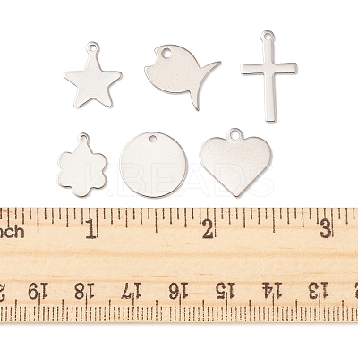 60Pcs 6 Style 201 & 304 Stainless Steel Stamping Blank Tag Charms STAS-FS0001-39-1