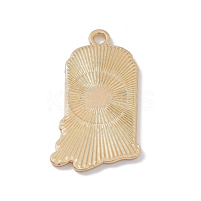 Alloy Enamel Pendant LS-FIND-H040-01A-1