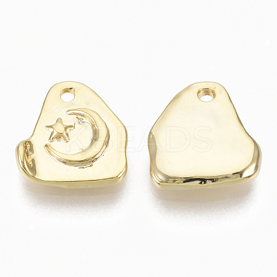 Alloy Charms PALLOY-S135-022-NR-1