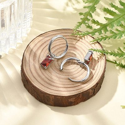 304 Stainless Steel Micro Pave Cubic Zirconia Hoop Earrings STAS-R004-06P-01-1
