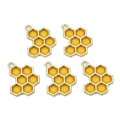 Epoxy Resin Pendants LS-X-RESI-Q213-001-NR-1