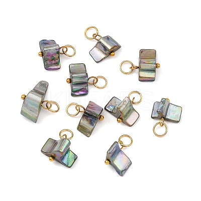 AB Color Natural Freshwater Shell Pendants PALLOY-JF05877-1