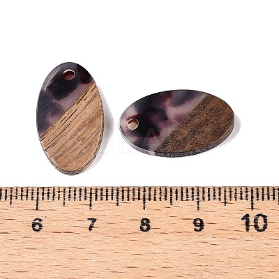 Transparent Resin and Walnut Wood Pendants RESI-T057-03B-1
