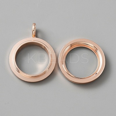 Alloy Crystal Rhinestone Locket Pendants FIND-WH0061-50A-RG-1