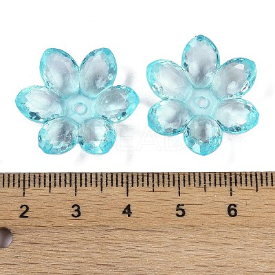 Transparent Acrylic Bead Caps OACR-H118-03E-1