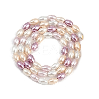 Electroplated Shell Pearl Beads Strands BSHE-H113-06C-01-1