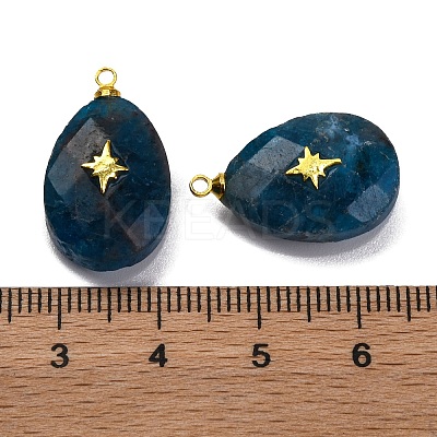 Natural Apatite Pendants X-G-B089-01G-03-1