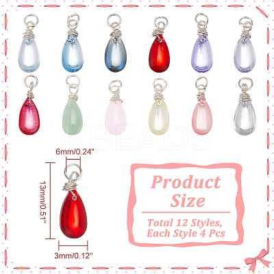 48Pcs 12 Color Transparent Glass Charms PALLOY-AB00010-1