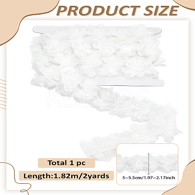 2Yards Polyester Chiffon Lace Trim SRIB-LP0001-19-1