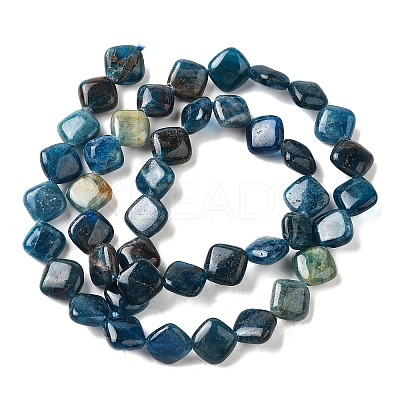 Natural Apatite Beads Strands G-Q026-D01-01-1