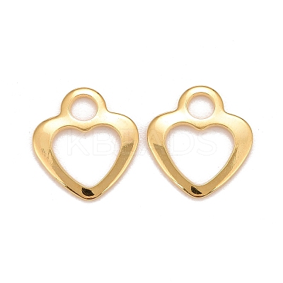 201 Stainless Steel Charms LS-STAS-K217-50A-G-1