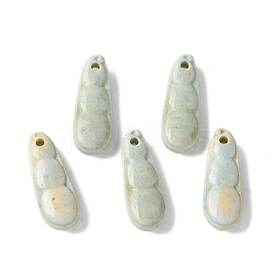Natural Rainbow Alashan Agate Charms G-G194-05B-1