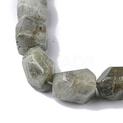 Natural Labradorite Beads Strands G-F743-04D-1
