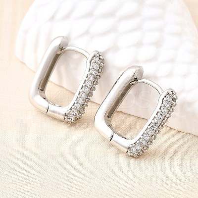 Brass Micro Pave Clear Cubic Zirconia Hoop Earrings EJEW-Z121-10P-1