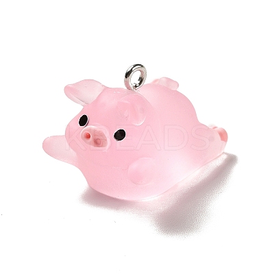 Translucent Resin Pendants LS-RESI-E031-01P-06-1