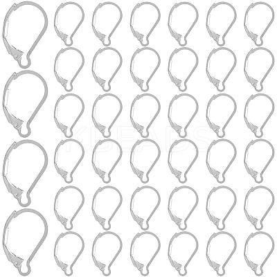 304 Stainless Steel Leverback Earring Findings STAS-SP0001-05B-1