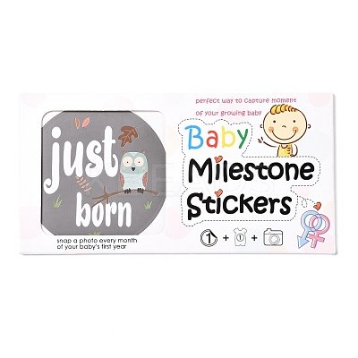 Newborn Monthly Milestone Stickers DIY-H127-B16-1