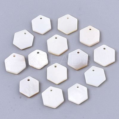 Natural Freshwater Shell Charms SHEL-R047-18-1