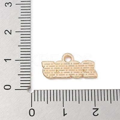 Alloy Enamel Pendants ENAM-A008-13KCG-08-1