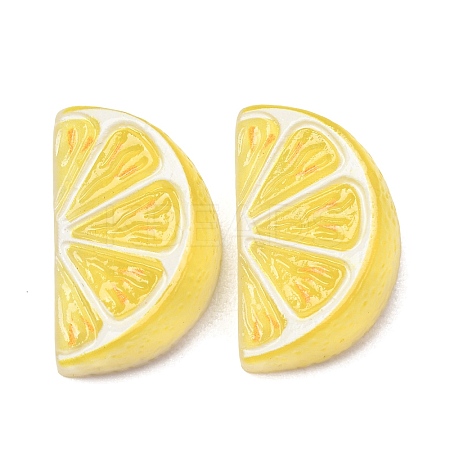 Fruit Theme Opaque Resin Imitation Food Cabochons RE-CBA49A8-03F-1