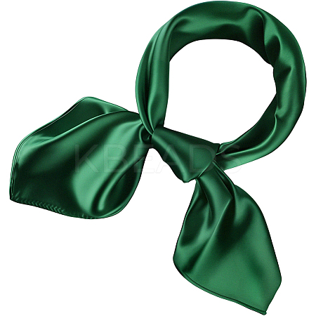 Detachable Satin Lady's Scarf AJEW-WH20072-79F-1