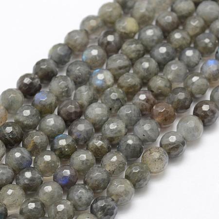 Natural Labradorite Beads Strands G-P322-30-6mm-1