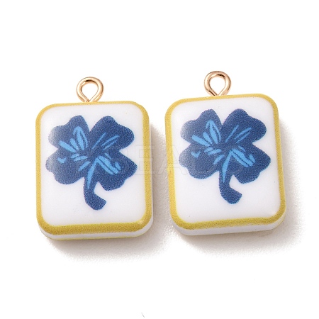 Printed Alloy with Acrylic Pendants AL-CBAE25B-02A-G-1