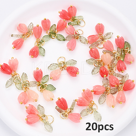 Acrylic & Resin Pendants PALLOY-YW00038-04-1